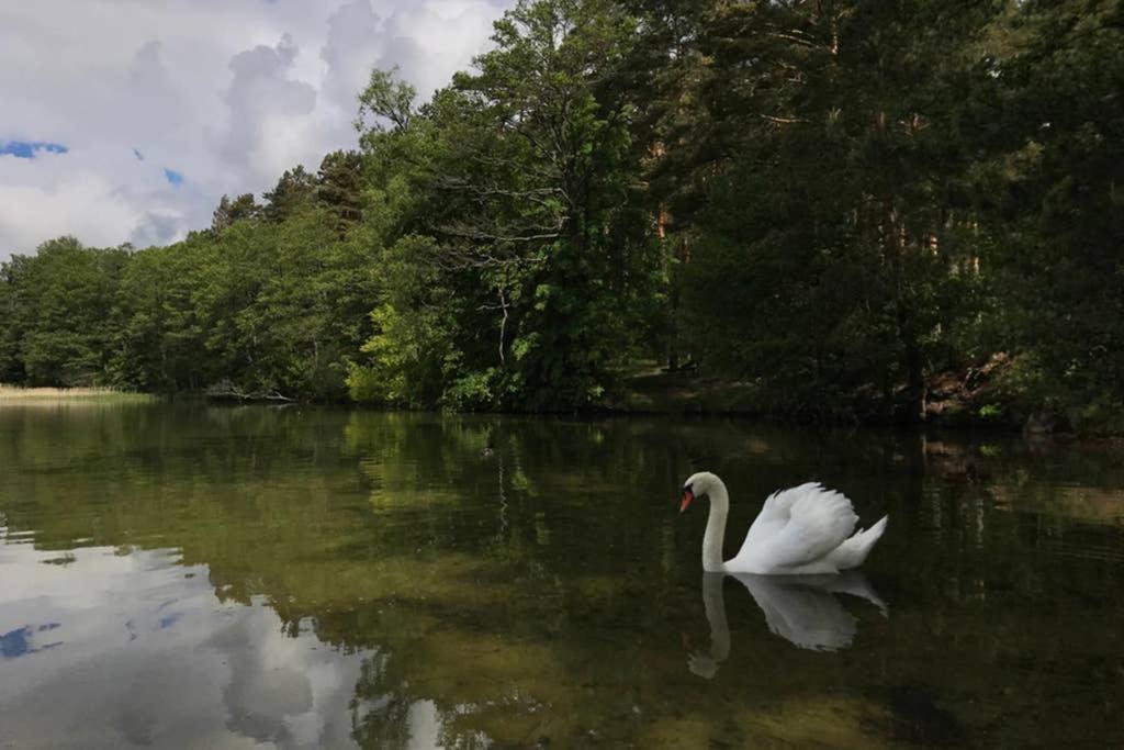 Remar - Apartamenty Nad Jeziorem Necko Augustów Buitenkant foto